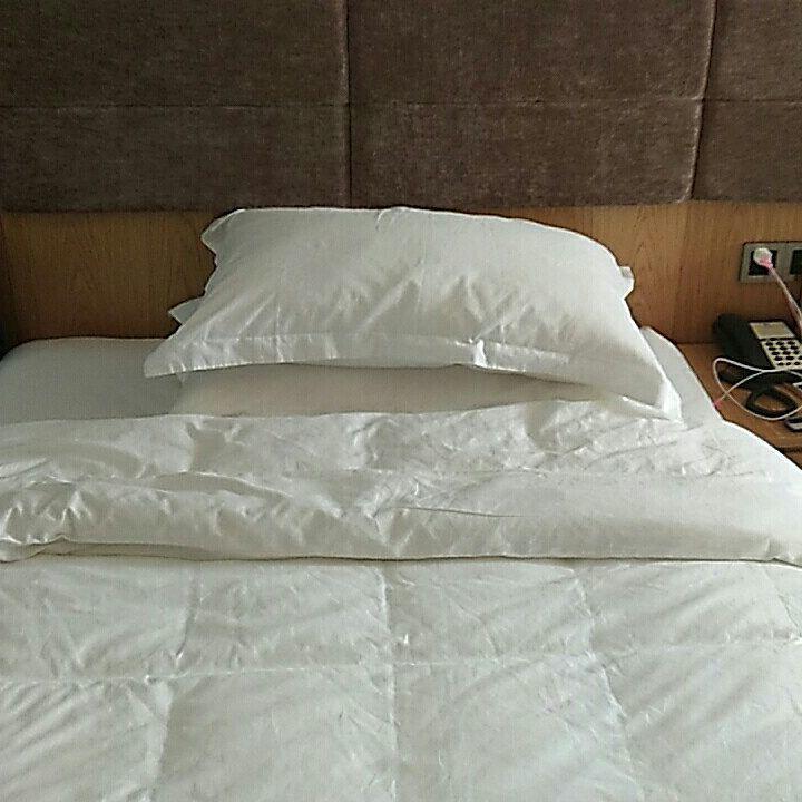 Wen Xin Yuan Homestay Puli Exteriör bild